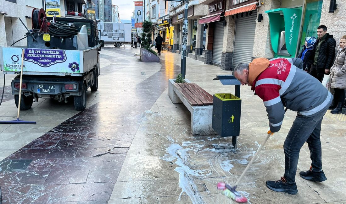 Ordu Büyükşehir Belediyesi, kent