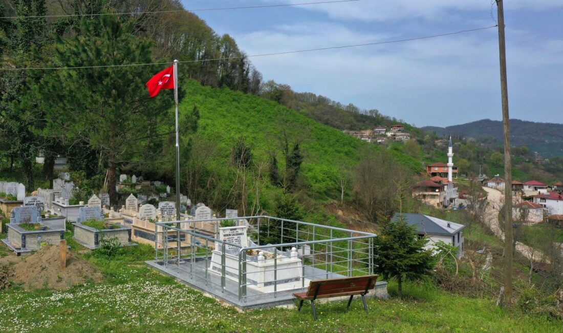 Ordu Büyükşehir Belediyesi, vatan